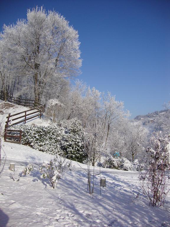 Bed and Breakfast Cascina Nel Bosco Moncucco Torinese Zewnętrze zdjęcie