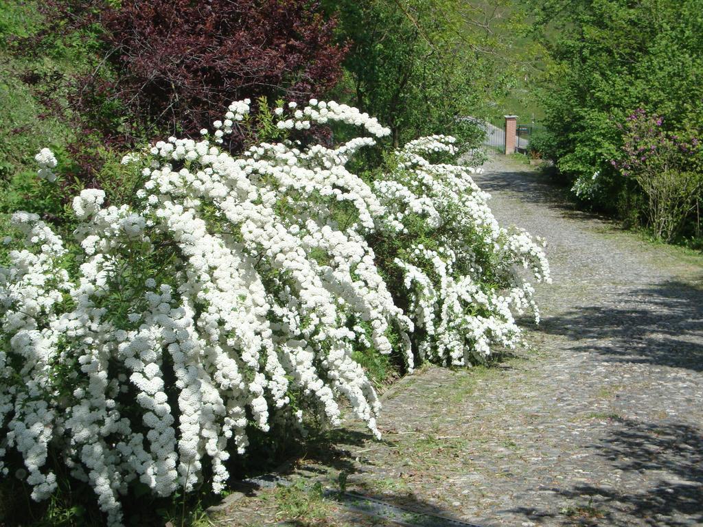 Bed and Breakfast Cascina Nel Bosco Moncucco Torinese Zewnętrze zdjęcie